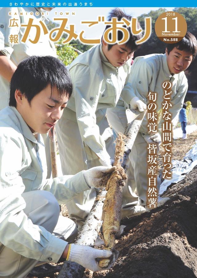 広報かみごおり平成30年11月号の表紙の画像