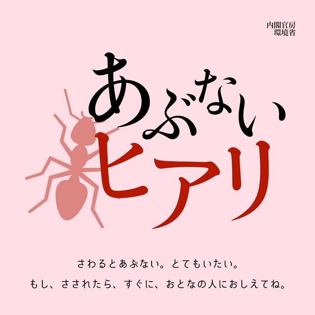 ヒアリのイラストと「あぶないヒアリ」さわるとあぶない。とてもいたい。もし、さされたら、すぐに、おとなの人におしえてね。と書かれているポスターの画像