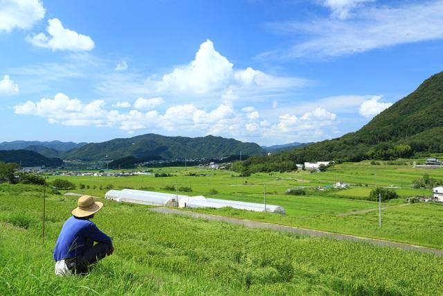 青空の下に広がる田んぼと麦わら帽子をかぶった男性の写真