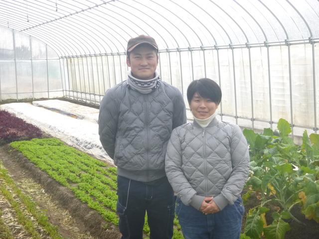 かみごおりで新規就農された、ビニールハウス内の久宝さんご夫妻の画像
