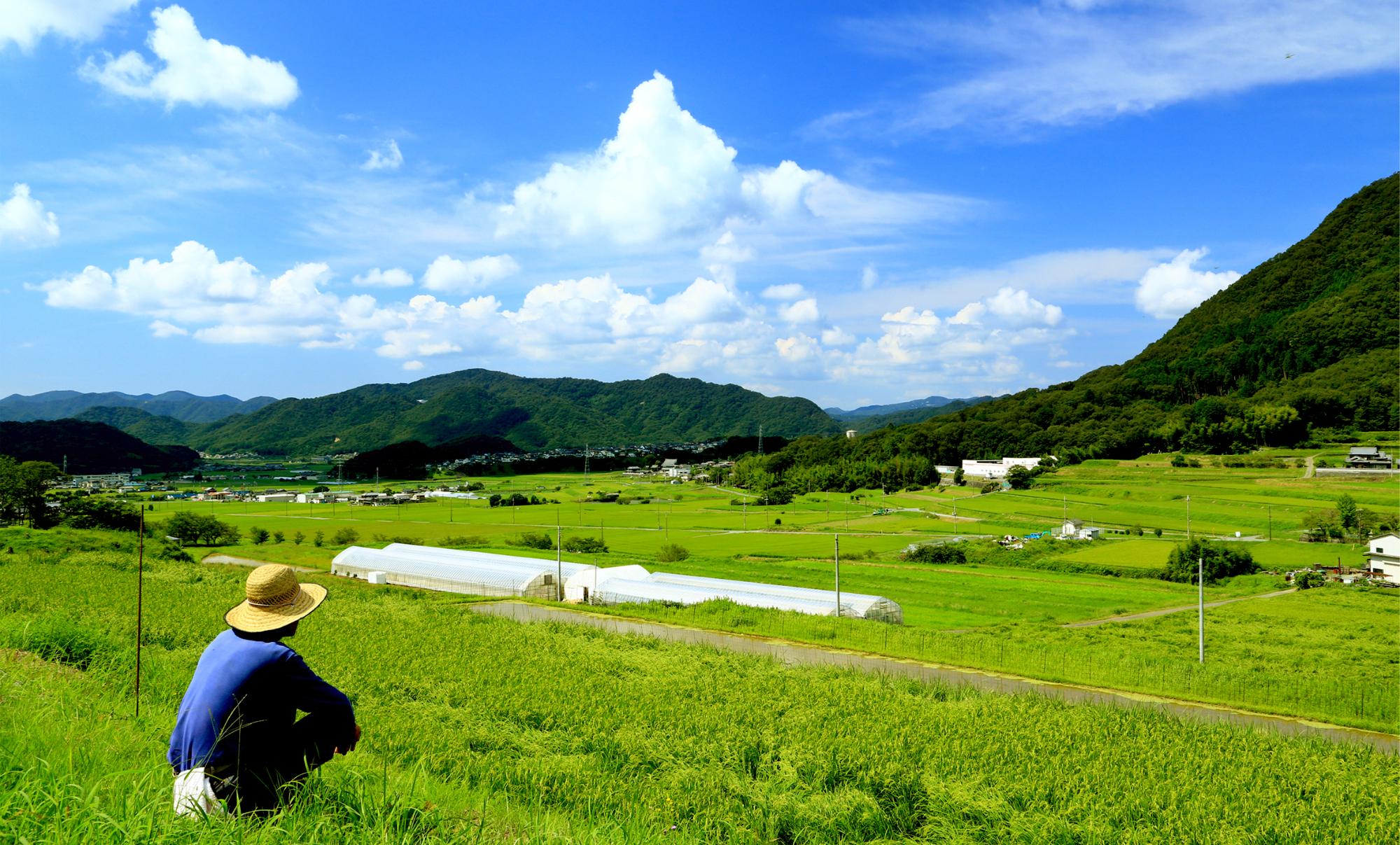 背を向けて座る麦わら帽子をかぶった人物と、その向こうに広がる青空と田園風景の写真